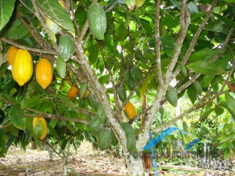 Rural em Itariri