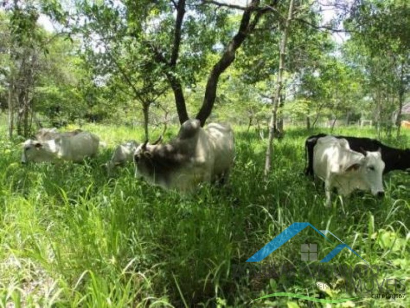 Rural em Itariri
