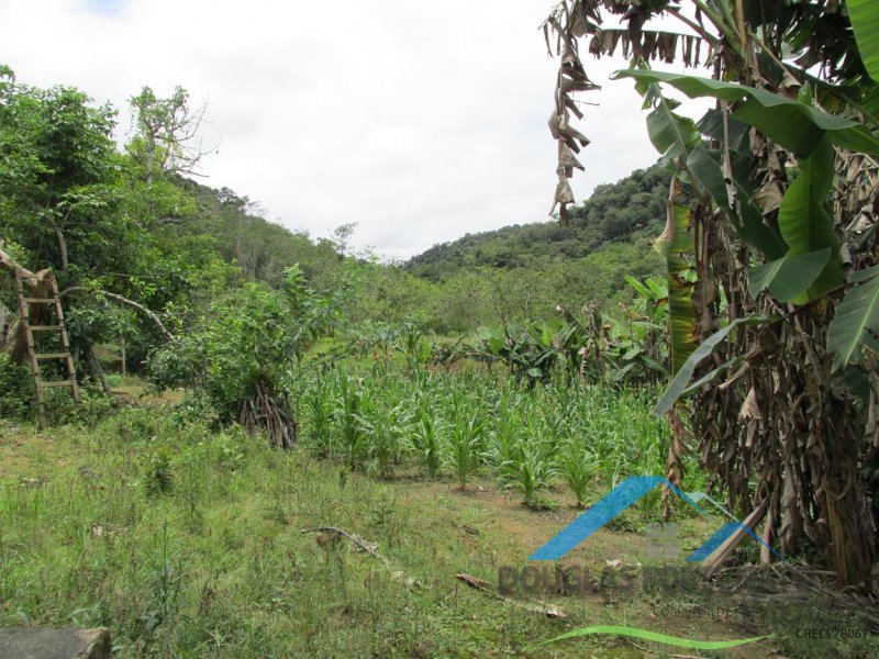 Rural em Peruíbe
