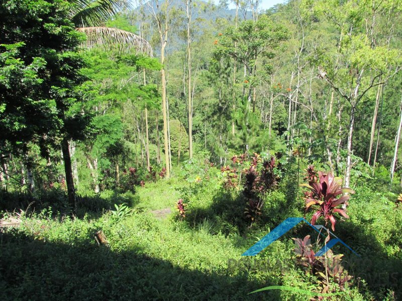 Rural em Itariri