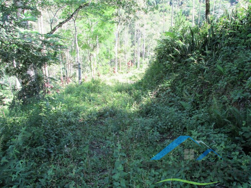 Rural em Itariri