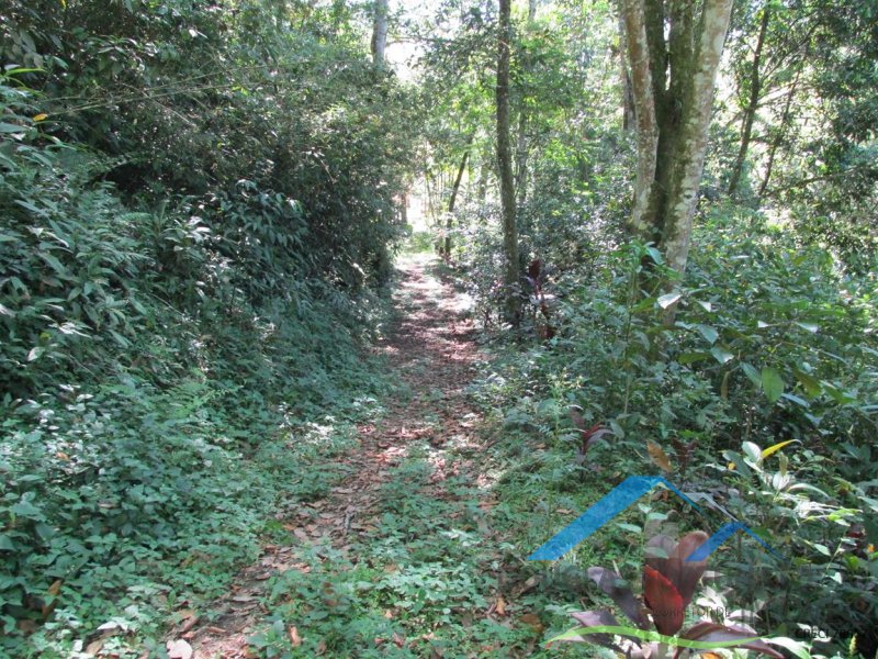 Rural em Itariri