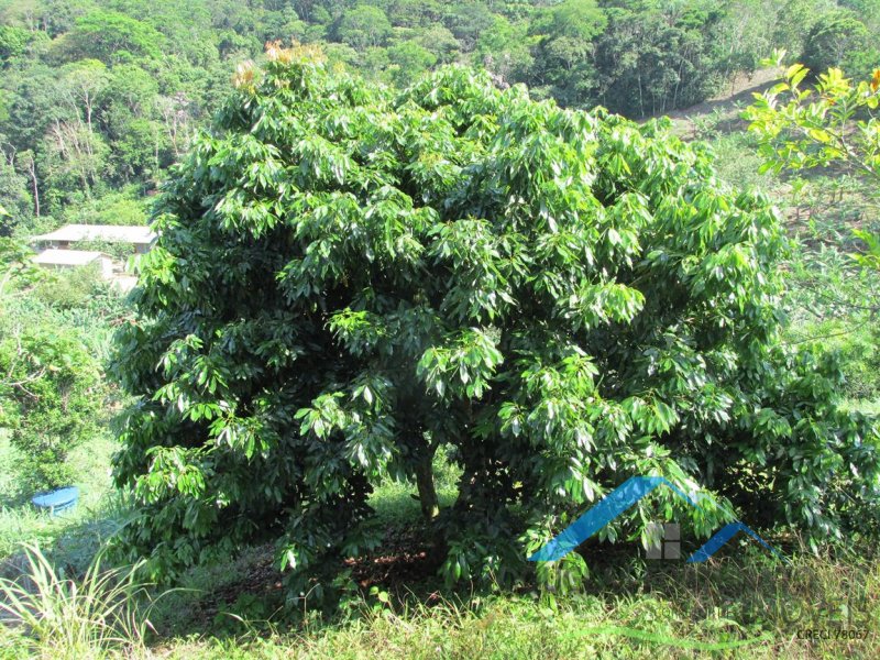 Rural em Peruíbe