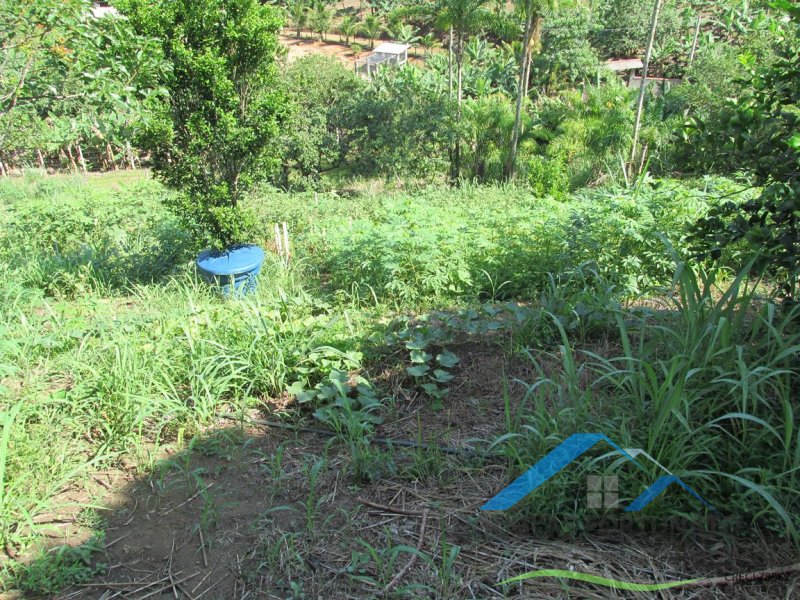 Rural em Peruíbe