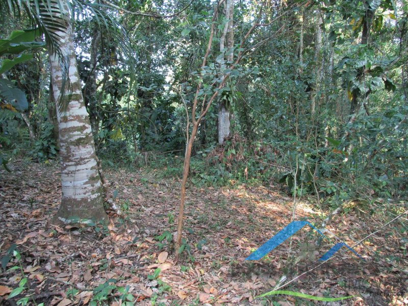 Rural em Itariri