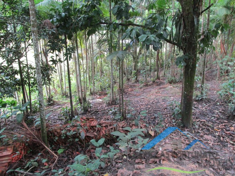 Rural em Peruíbe