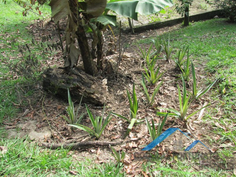 Rural em Itariri