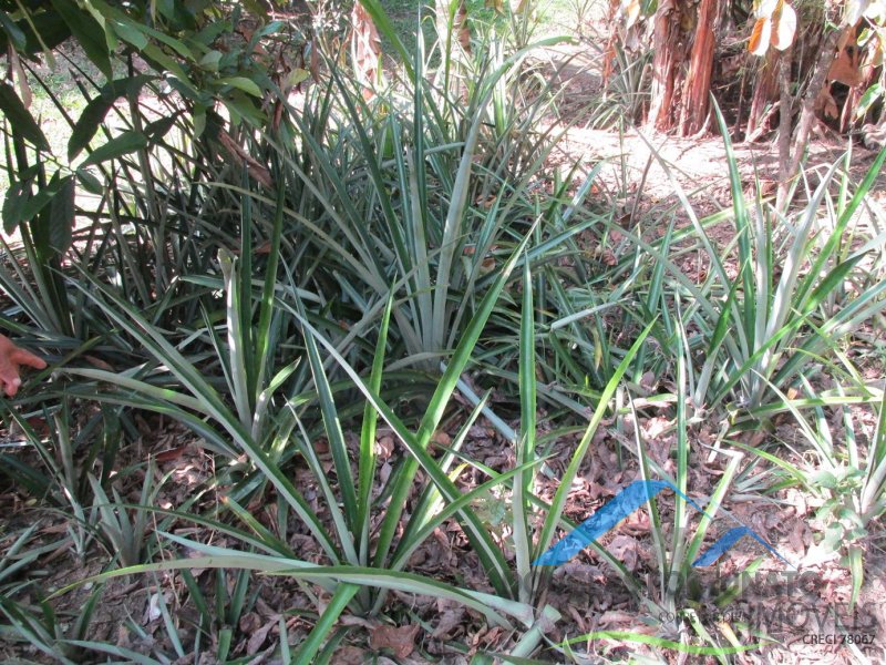 Rural em Itariri