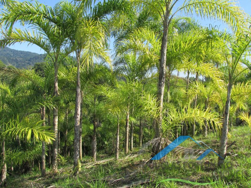 Rural em Itariri