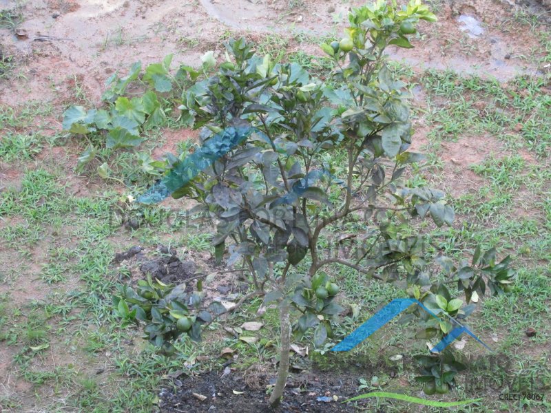 Rural em Itariri