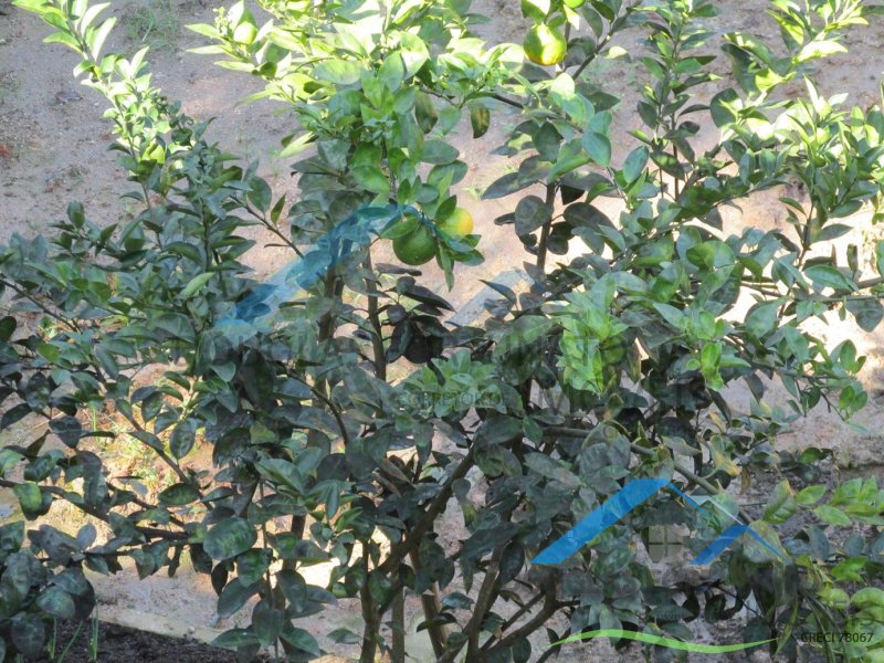 Rural em Itariri