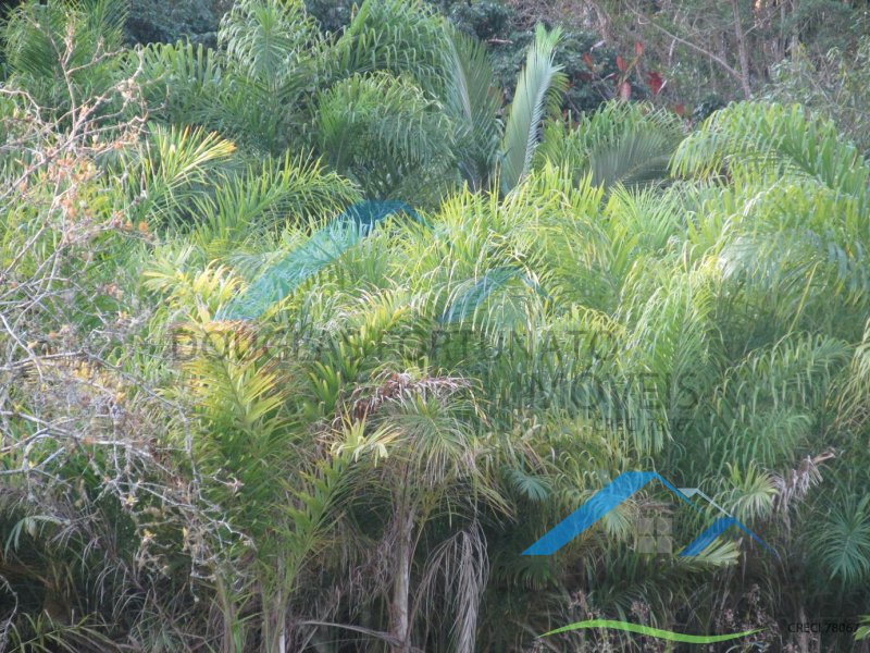 Rural em Itariri