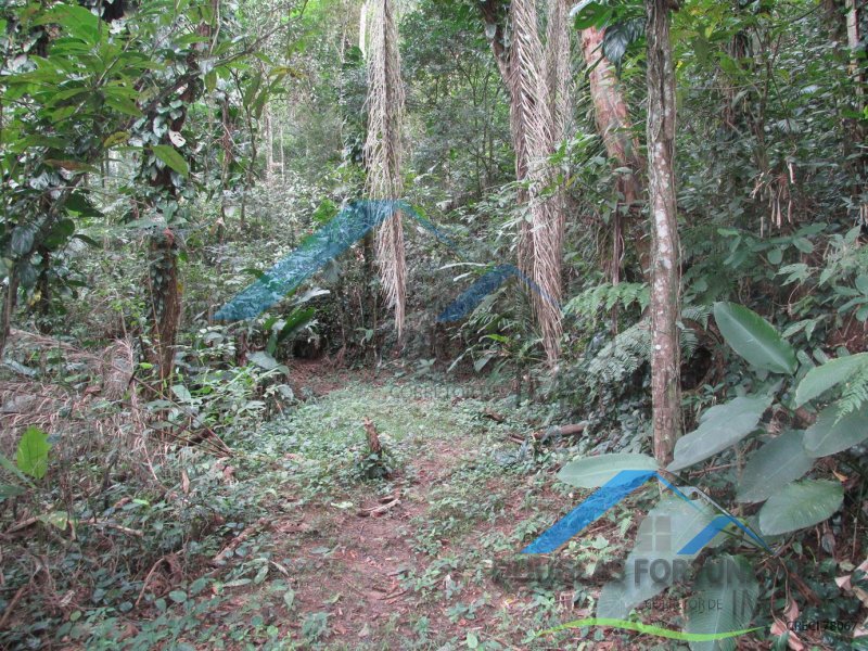Rural em Itariri