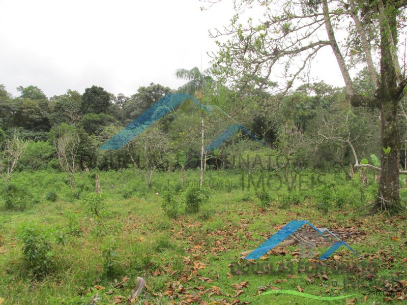 Rural em Peruíbe
