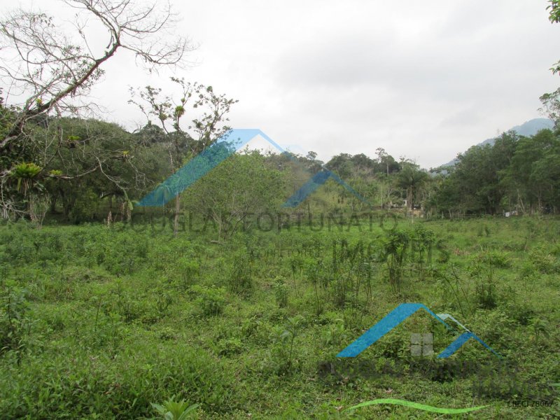 Rural em Peruíbe