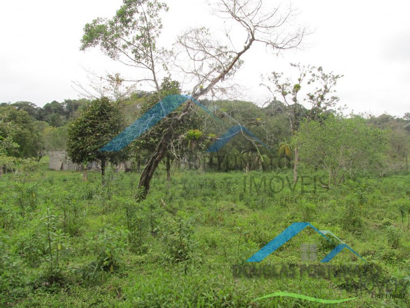 Rural em Peruíbe