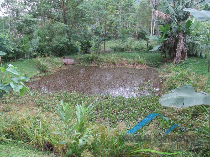 Rural em Peruíbe/Ana Dias