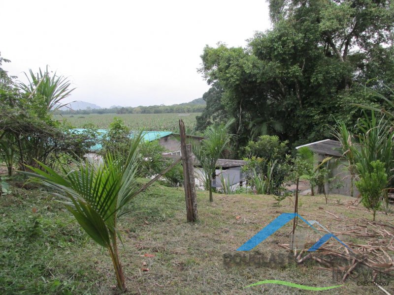 Rural em Peruíbe/Ana Dias