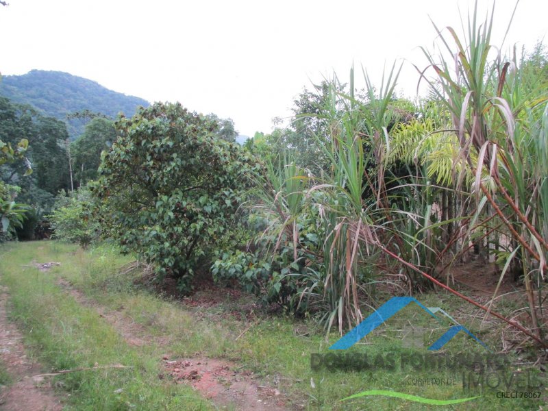 Rural em Peruíbe/Ana Dias