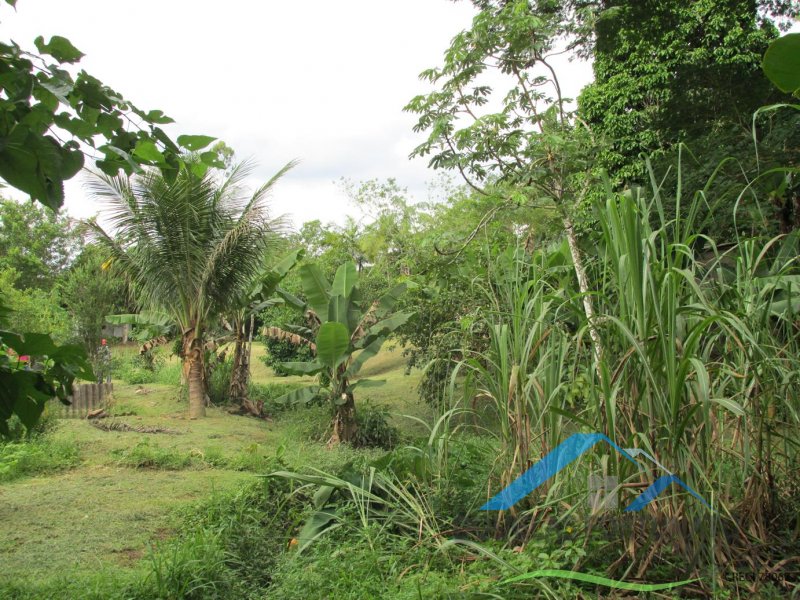 Rural em Peruíbe