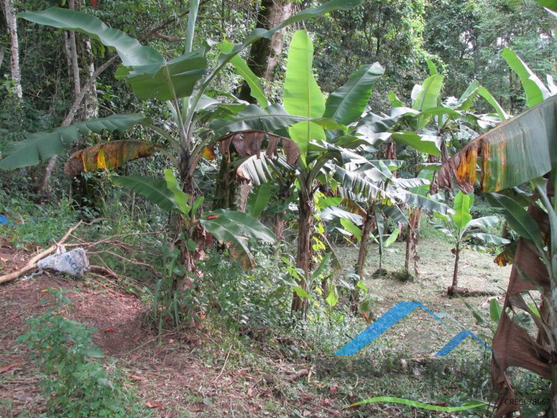 Rural em Peruíbe