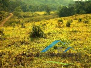 Rural Pós Linha em Itariri para Venda